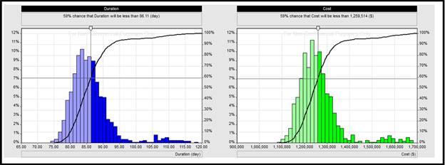 Cost and schedule risk analysis