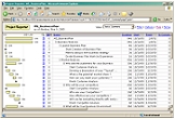 Web-based project risk analysis