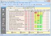 Risk Analysis: Gantt Chart